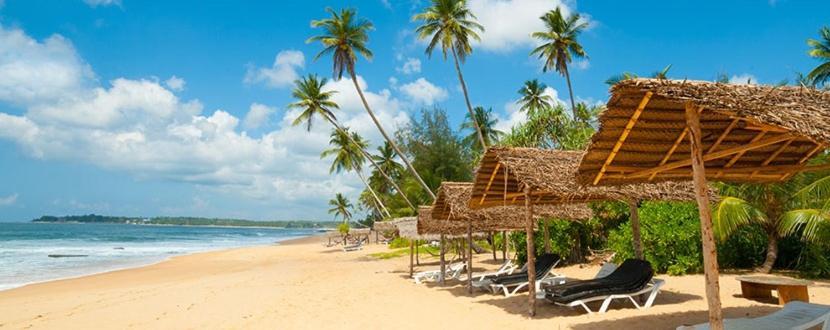Blu Marine Nilaveli Hotell Trincomalee Eksteriør bilde
