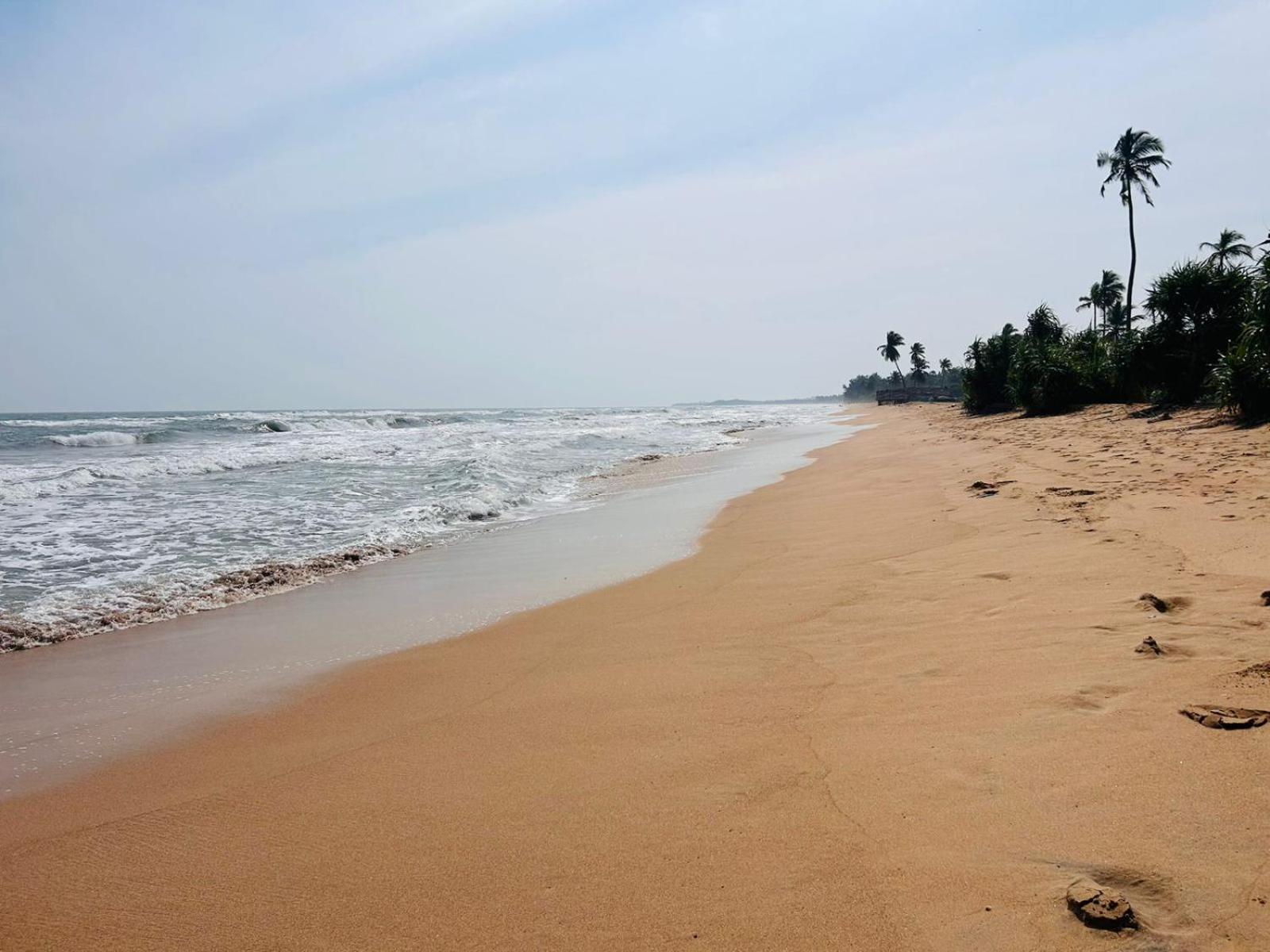 Blu Marine Nilaveli Hotell Trincomalee Eksteriør bilde